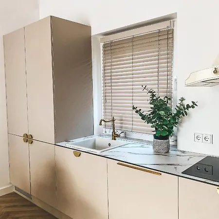 Genio Apartamentai Kunigiskiuose פלאנגה